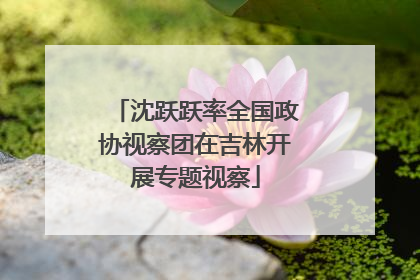 沈跃跃率全国政协视察团在吉林开展专题视察