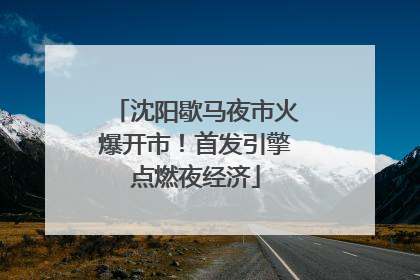 沈阳歇马夜市火爆开市！首发引擎点燃夜经济