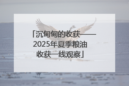 沉甸甸的收获——2025年夏季粮油收获一线观察