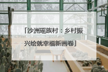 沙洲瑶族村：乡村振兴绘就幸福新画卷
