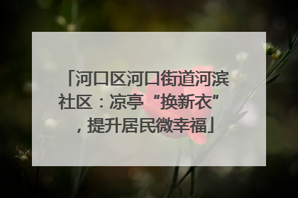 河口区河口街道河滨社区：凉亭“换新衣”，提升居民微幸福