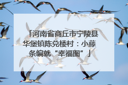 河南省商丘市宁陵县华堡镇陈兑楼村：小藤条编就“幸福图”