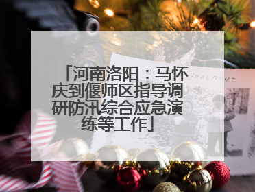 河南洛阳：马怀庆到偃师区指导调研防汛综合应急演练等工作