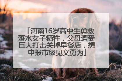 河南16岁高中生勇救落水女子牺牲，父母遭受巨大打击关掉早餐店，想申报市级见义勇为