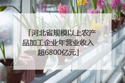 河北省规模以上农产品加工企业年营业收入超6800亿元