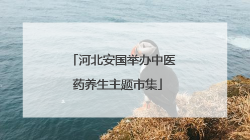 河北安国举办中医药养生主题市集