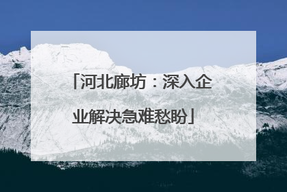 河北廊坊：深入企业解决急难愁盼