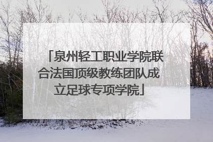 泉州轻工职业学院联合法国顶级教练团队成立足球专项学院