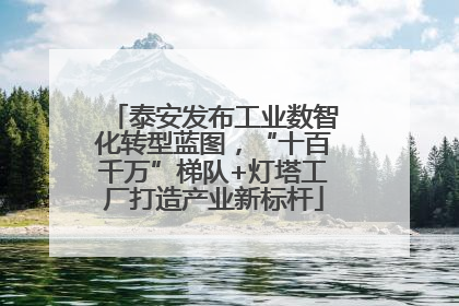 泰安发布工业数智化转型蓝图，“十百千万”梯队+灯塔工厂打造产业新标杆