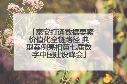 泰安打通数据要素价值化全链路径 典型案例亮相第七届数字中国建设峰会