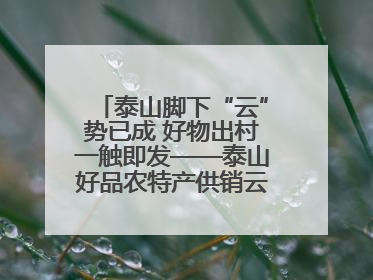 泰山脚下“云”势已成 好物出村一触即发——泰山好品农特产供销云仓即将启用