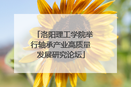 洛阳理工学院举行轴承产业高质量发展研究论坛