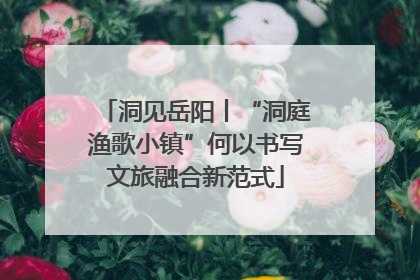 洞见岳阳丨“洞庭渔歌小镇”何以书写文旅融合新范式