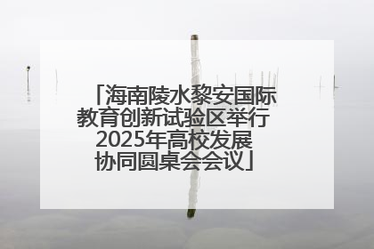 海南陵水黎安国际教育创新试验区举行2025年高校发展协同圆桌会会议