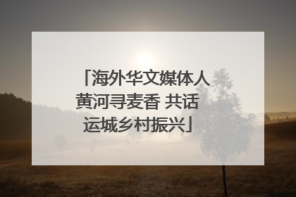 海外华文媒体人黄河寻麦香 共话运城乡村振兴