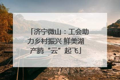 济宁微山：工会助力乡村振兴 鲜美湖产腾“云”起飞