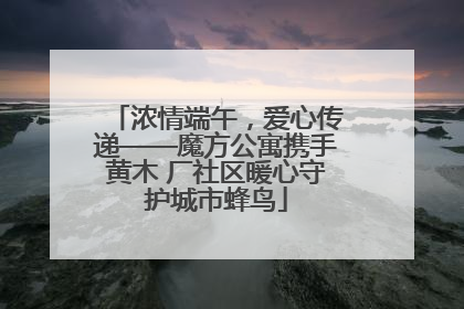 浓情端午，爱心传递——魔方公寓携手黄木 厂社区暖心守护城市蜂鸟