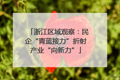 浙江区域观察：民企“青蓝接力”折射产业“向新力”