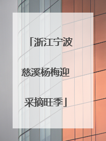 浙江宁波慈溪杨梅迎采摘旺季