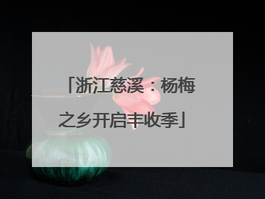浙江慈溪：杨梅之乡开启丰收季