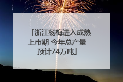 浙江杨梅进入成熟上市期 今年总产量预计74万吨