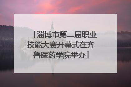 淄博市第二届职业技能大赛开幕式在齐鲁医药学院举办