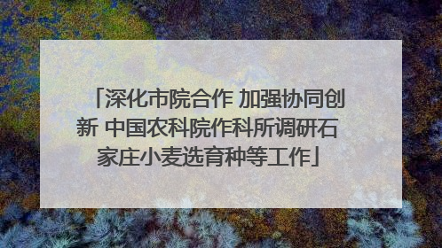 深化市院合作 加强协同创新 中国农科院作科所调研石家庄小麦选育种等工作