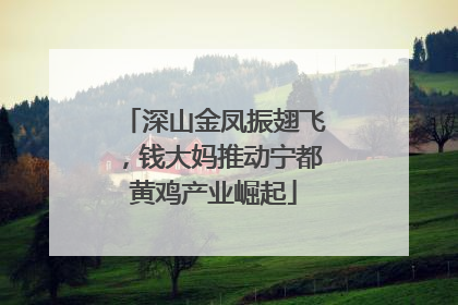 深山金凤振翅飞，钱大妈推动宁都黄鸡产业崛起