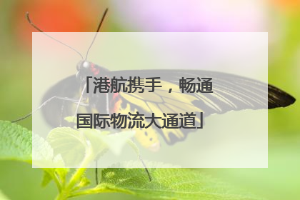 港航携手，畅通国际物流大通道