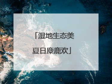 湿地生态美 夏日麋鹿欢