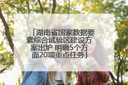 湖南省国家数据要素综合试验区建设方案出炉 明确5个方面20项重点任务