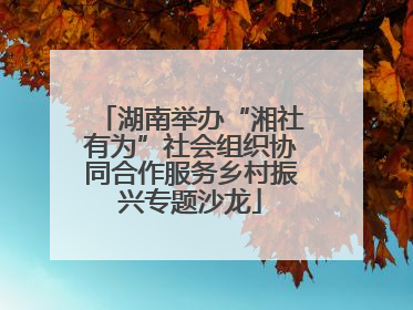 湖南举办“湘社有为”社会组织协同合作服务乡村振兴专题沙龙