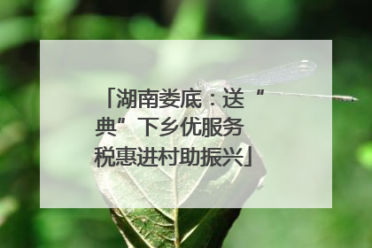 湖南娄底：送“典”下乡优服务 税惠进村助振兴