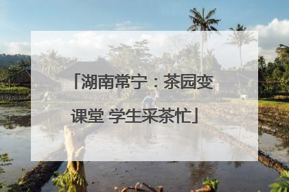 湖南常宁：茶园变课堂 学生采茶忙