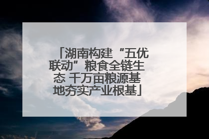 湖南构建“五优联动”粮食全链生态 千万亩粮源基地夯实产业根基