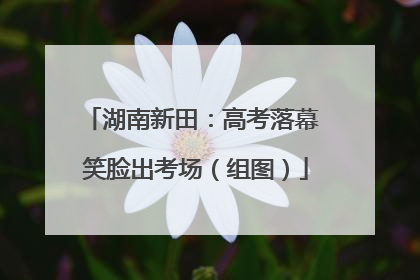 湖南新田：高考落幕 笑脸出考场（组图）