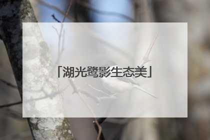 湖光鹭影生态美