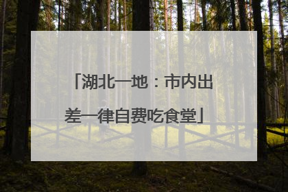 湖北一地：市内出差一律自费吃食堂