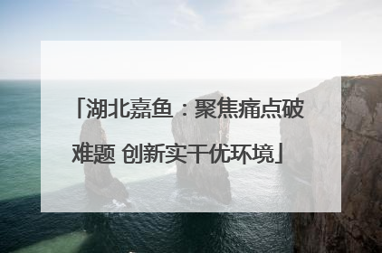 湖北嘉鱼：聚焦痛点破难题 创新实干优环境