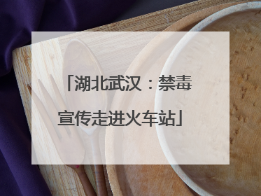 湖北武汉：禁毒宣传走进火车站