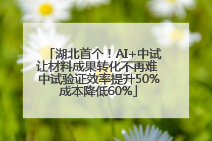 湖北首个！AI+中试让材料成果转化不再难 中试验证效率提升50%成本降低60%