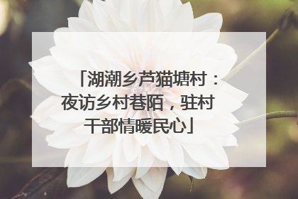 湖潮乡芦猫塘村：夜访乡村巷陌，驻村干部情暖民心