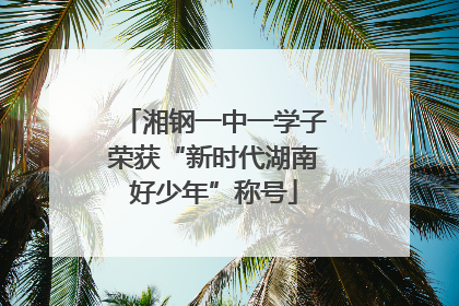 湘钢一中一学子荣获“新时代湖南好少年”称号