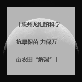 滕州龙阳镇科学抗旱保苗 力保万亩农田“解渴”