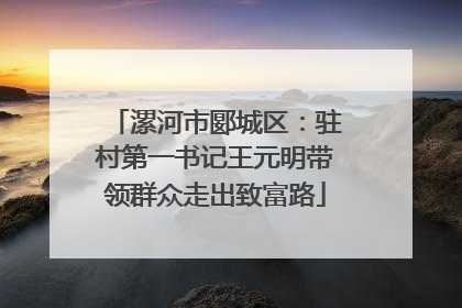 漯河市郾城区：驻村第一书记王元明带领群众走出致富路