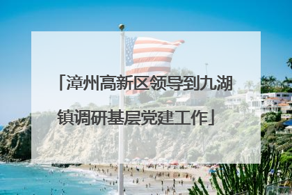 漳州高新区领导到九湖镇调研基层党建工作