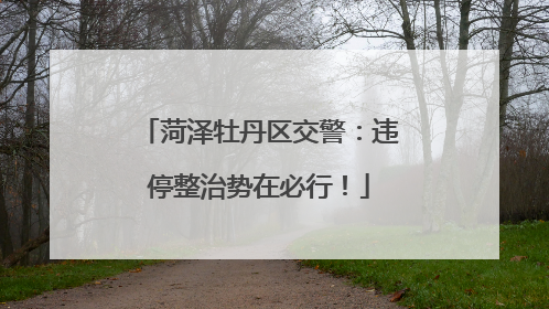 菏泽牡丹区交警：违停整治势在必行！