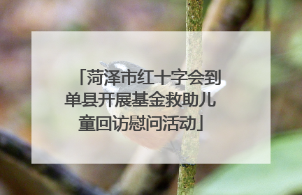 菏泽市红十字会到单县开展基金救助儿童回访慰问活动