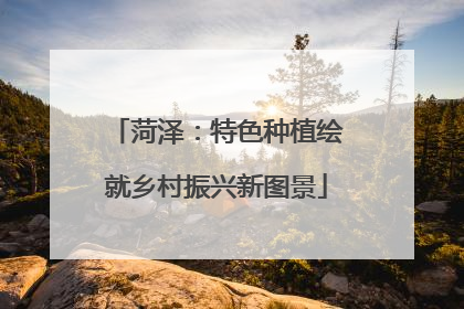 菏泽：特色种植绘就乡村振兴新图景