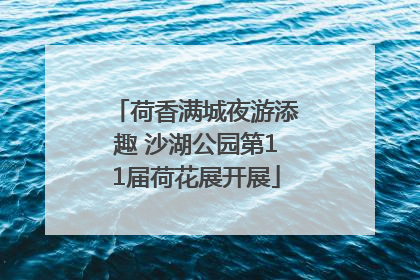 荷香满城夜游添趣 沙湖公园第11届荷花展开展